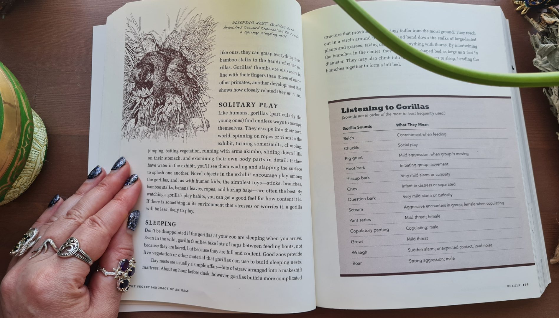 Book Review: The Secret Language of Animals by Janine M Benyus llustrations by Juan Carlos Barberis