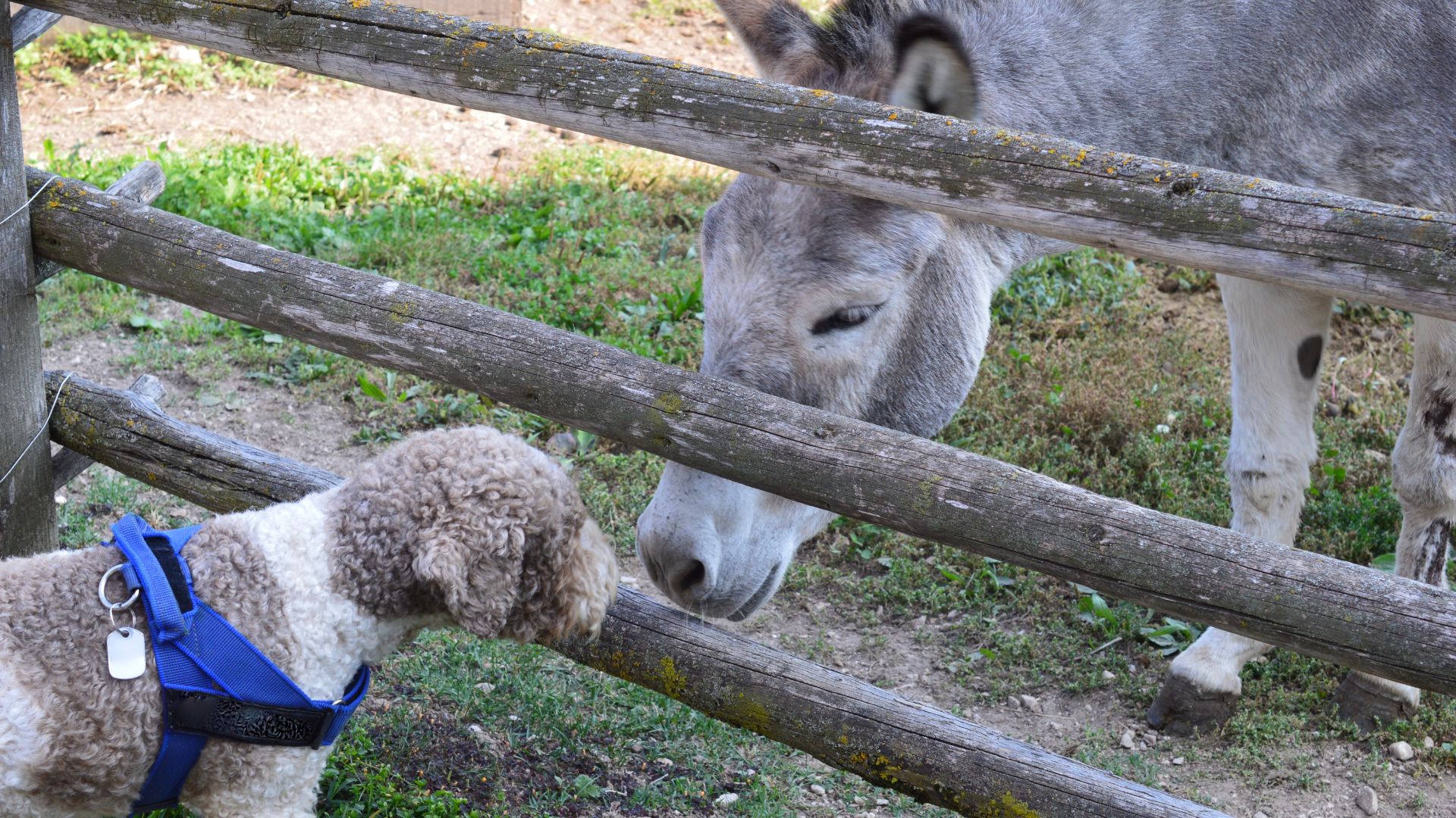 love guidance connection relationship 23