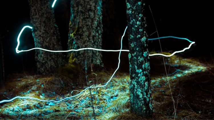 peace spirituality love connection 6