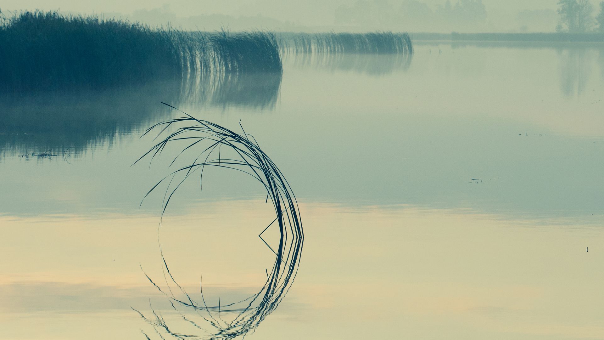 peace spirituality love connection zen 11