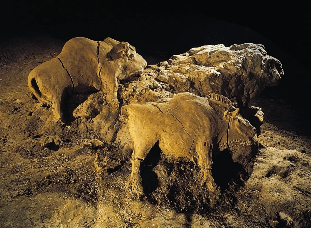Amazing 14,000 year old bison sculptures discovered in France
