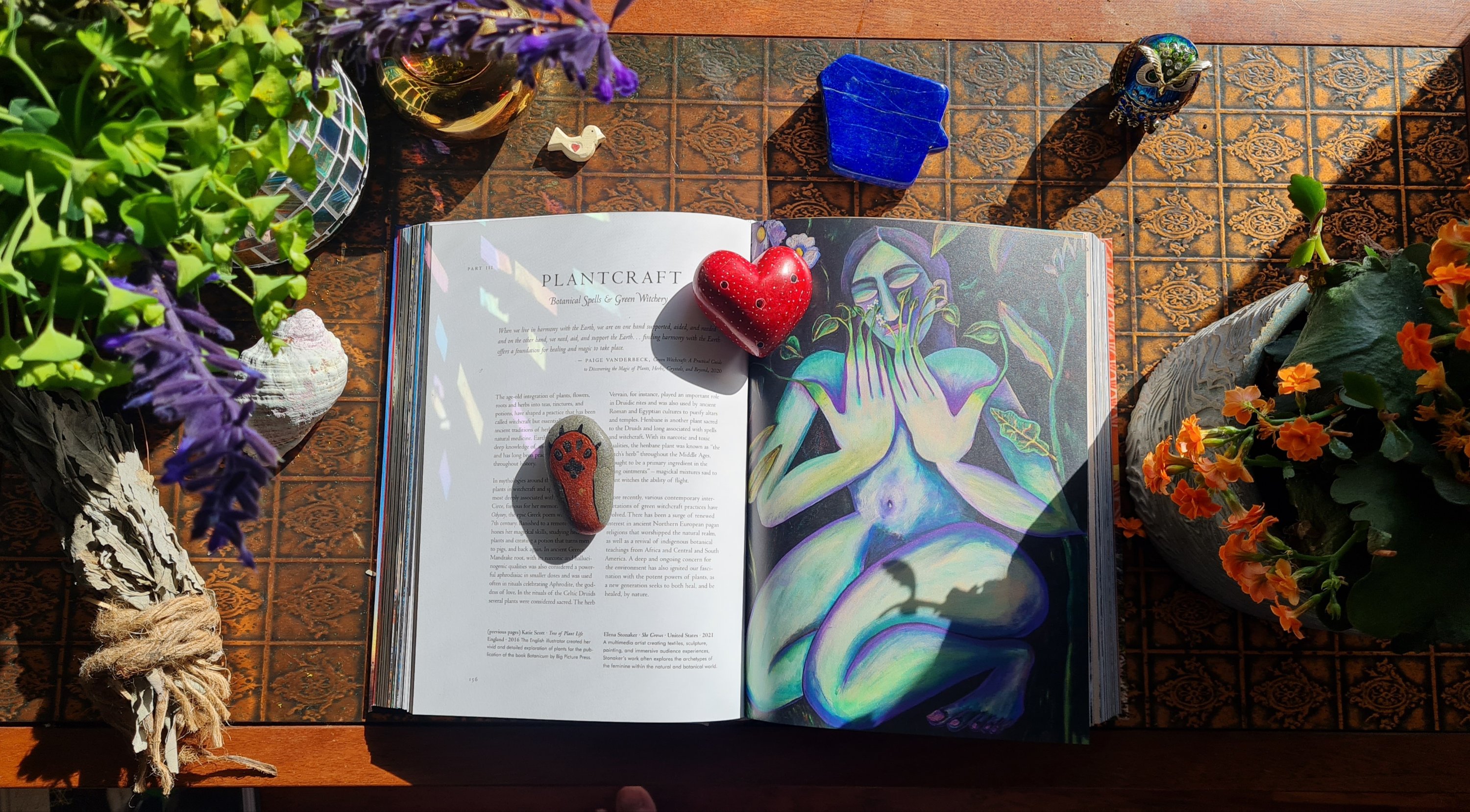 Book Review: Plant Magick: Library of Esoterica by Taschen