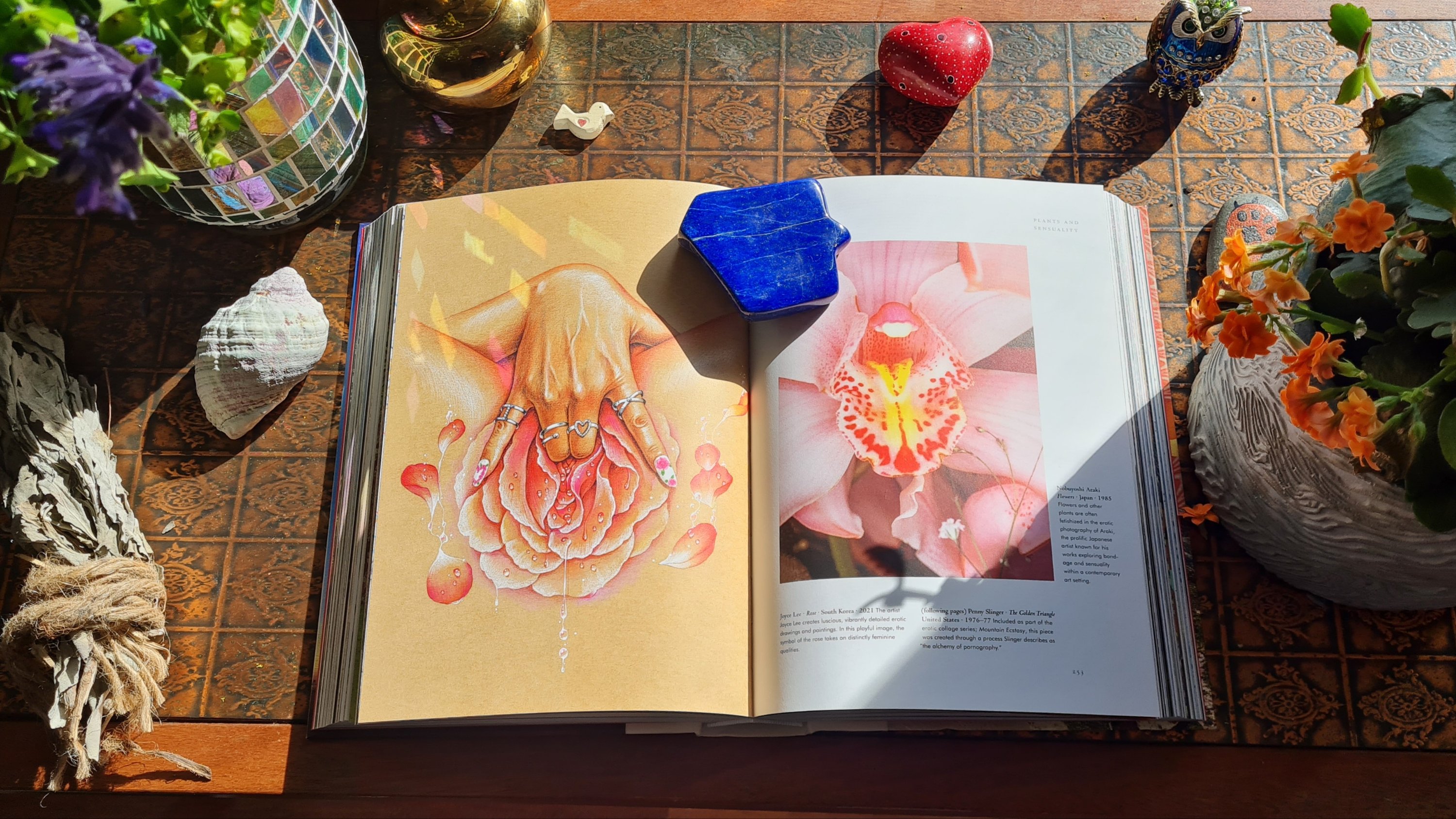 Book Review: Plant Magick: Library of Esoterica by Taschen