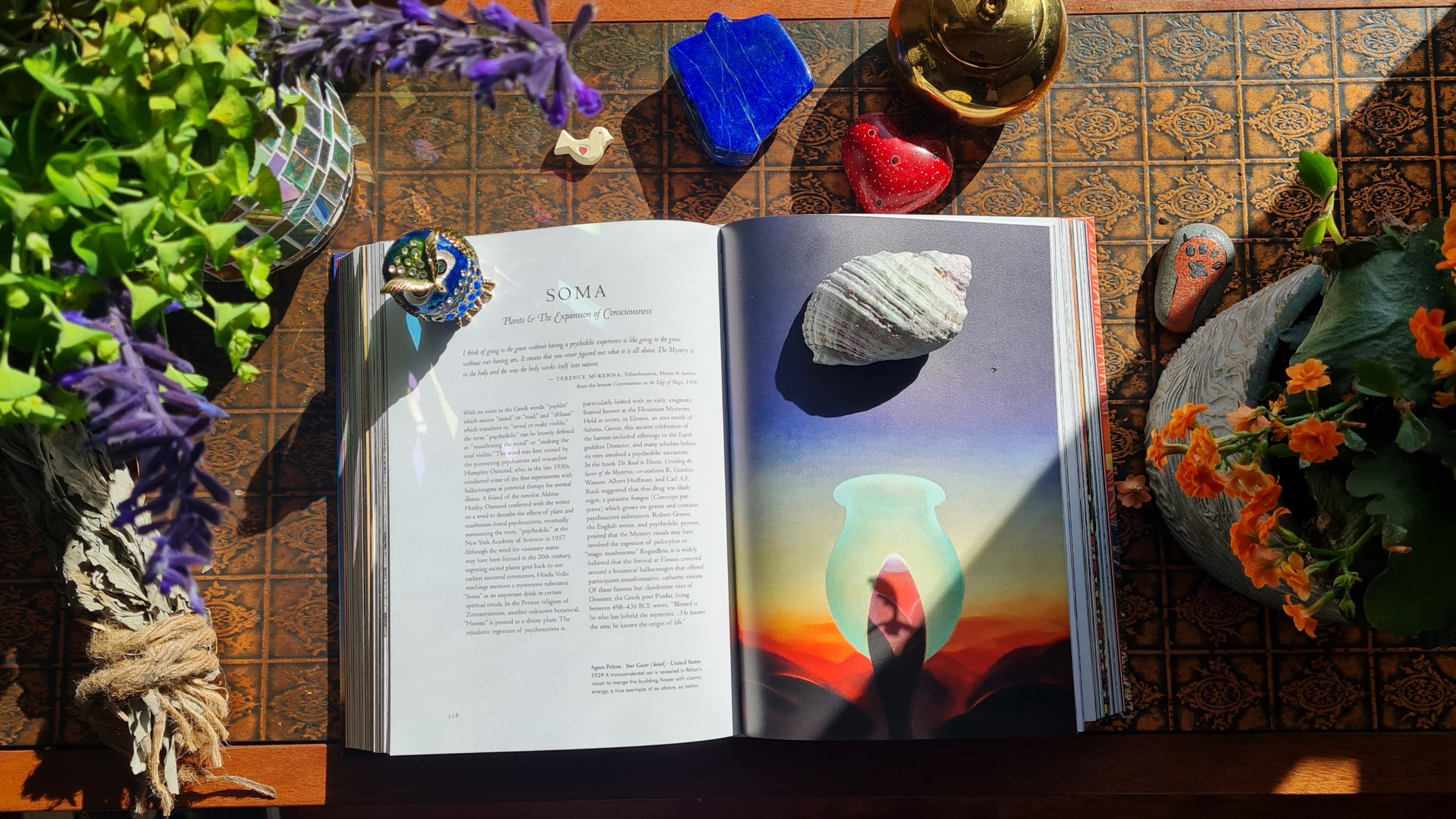 Book Review: Plant Magick: Library of Esoterica by Taschen