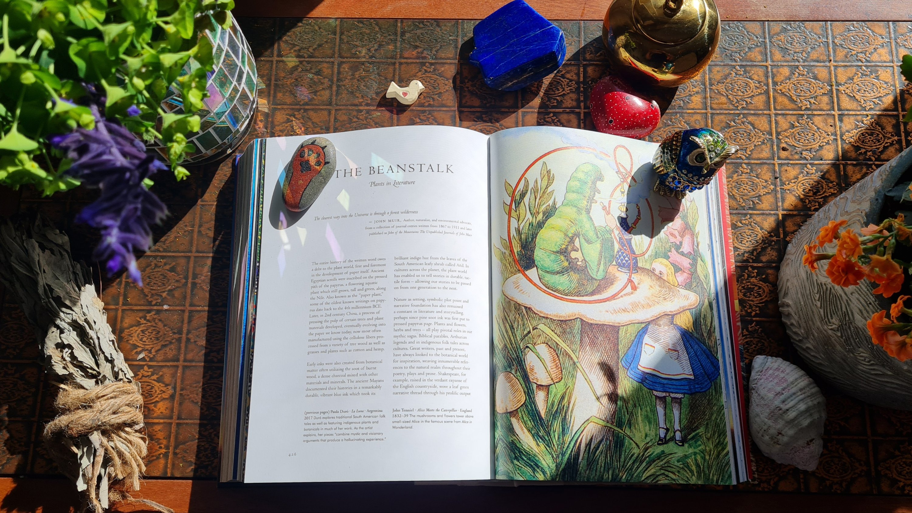 Book Review: Plant Magick: Library of Esoterica by Taschen