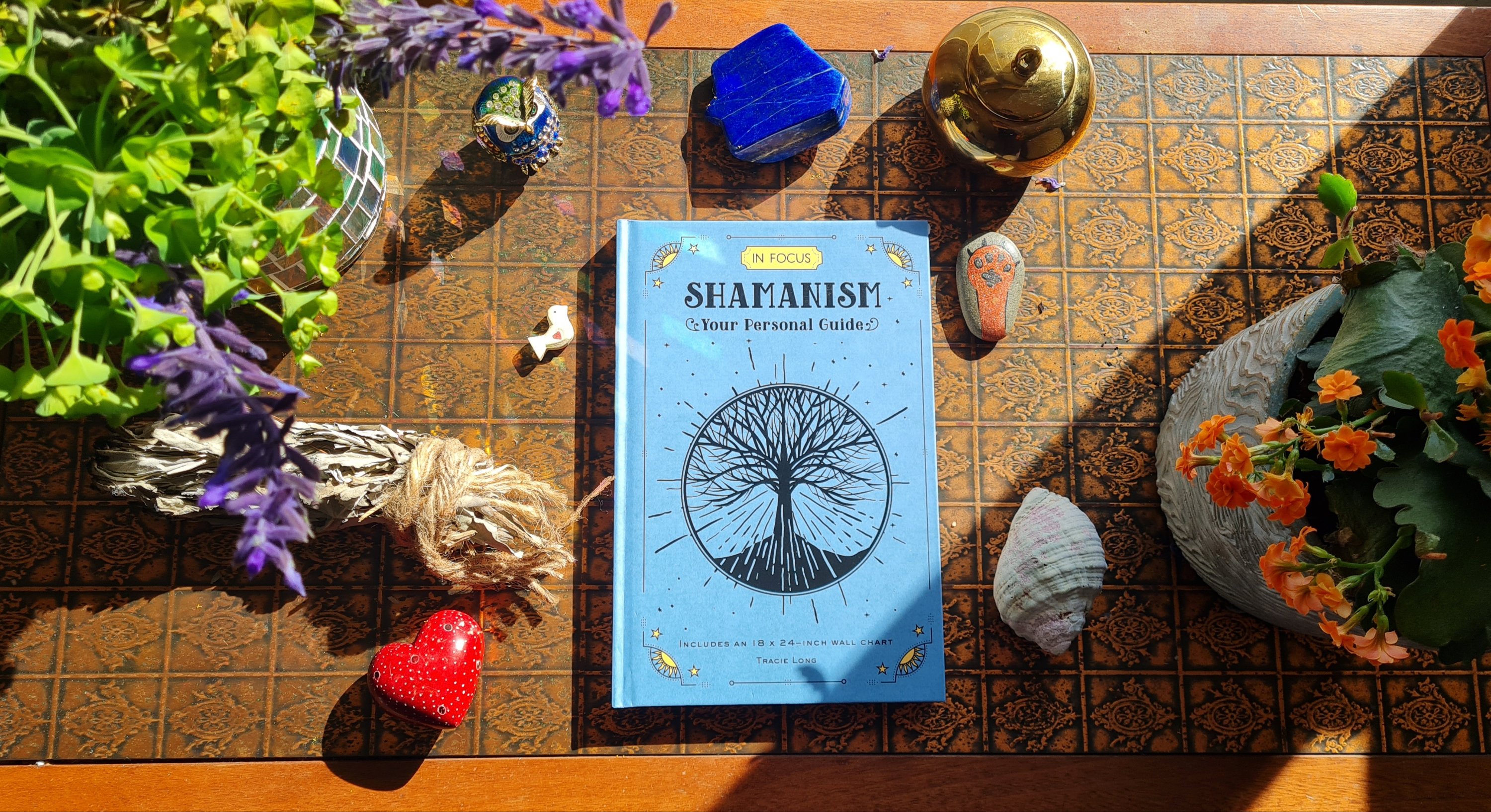Book Review: Shamanism Your Personal Guide by Tracie Long