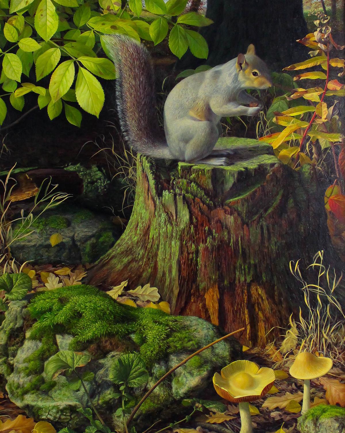 Squirrel in Autumn by Raymond Booth