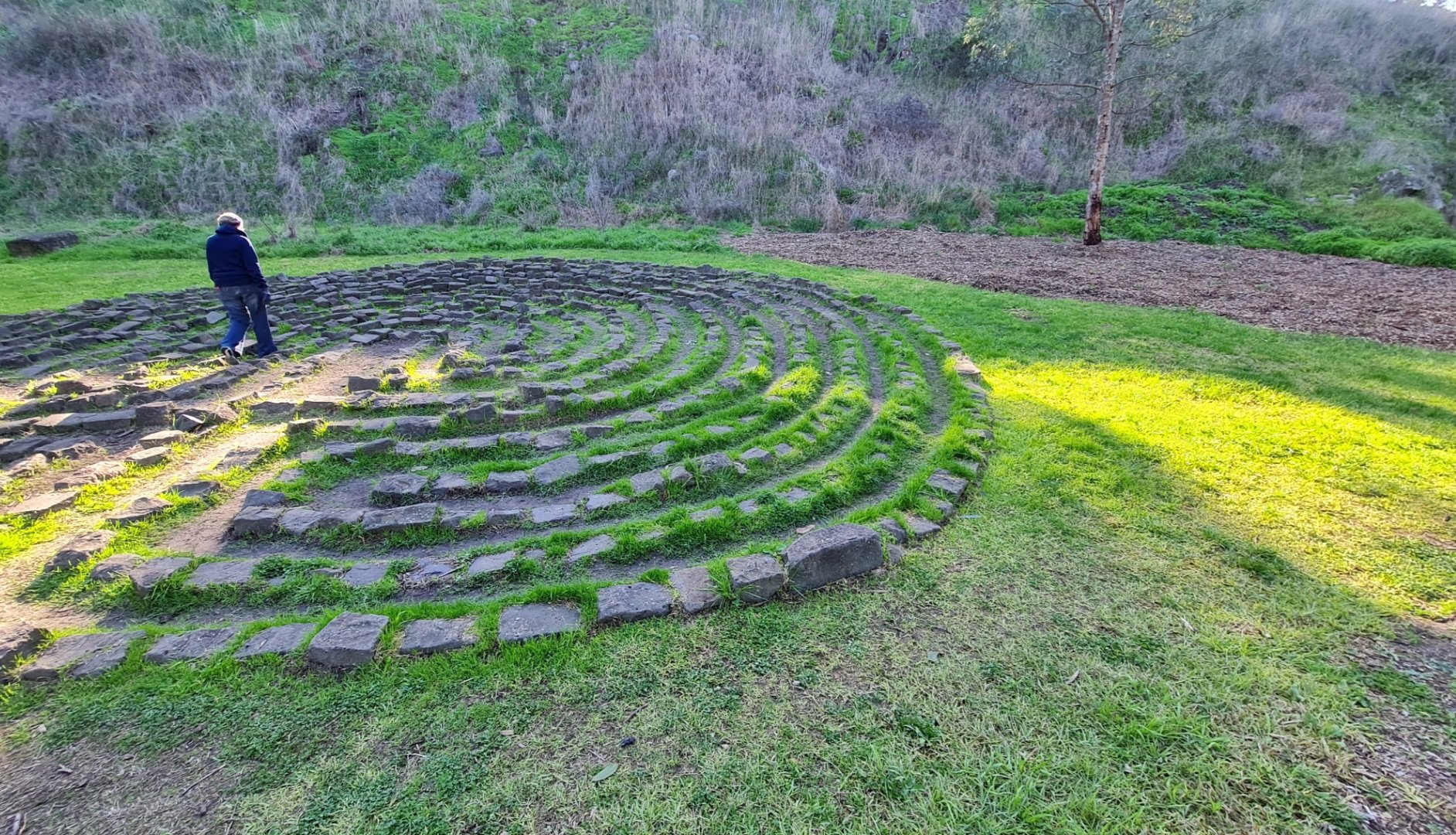 Melbourne by the evening light