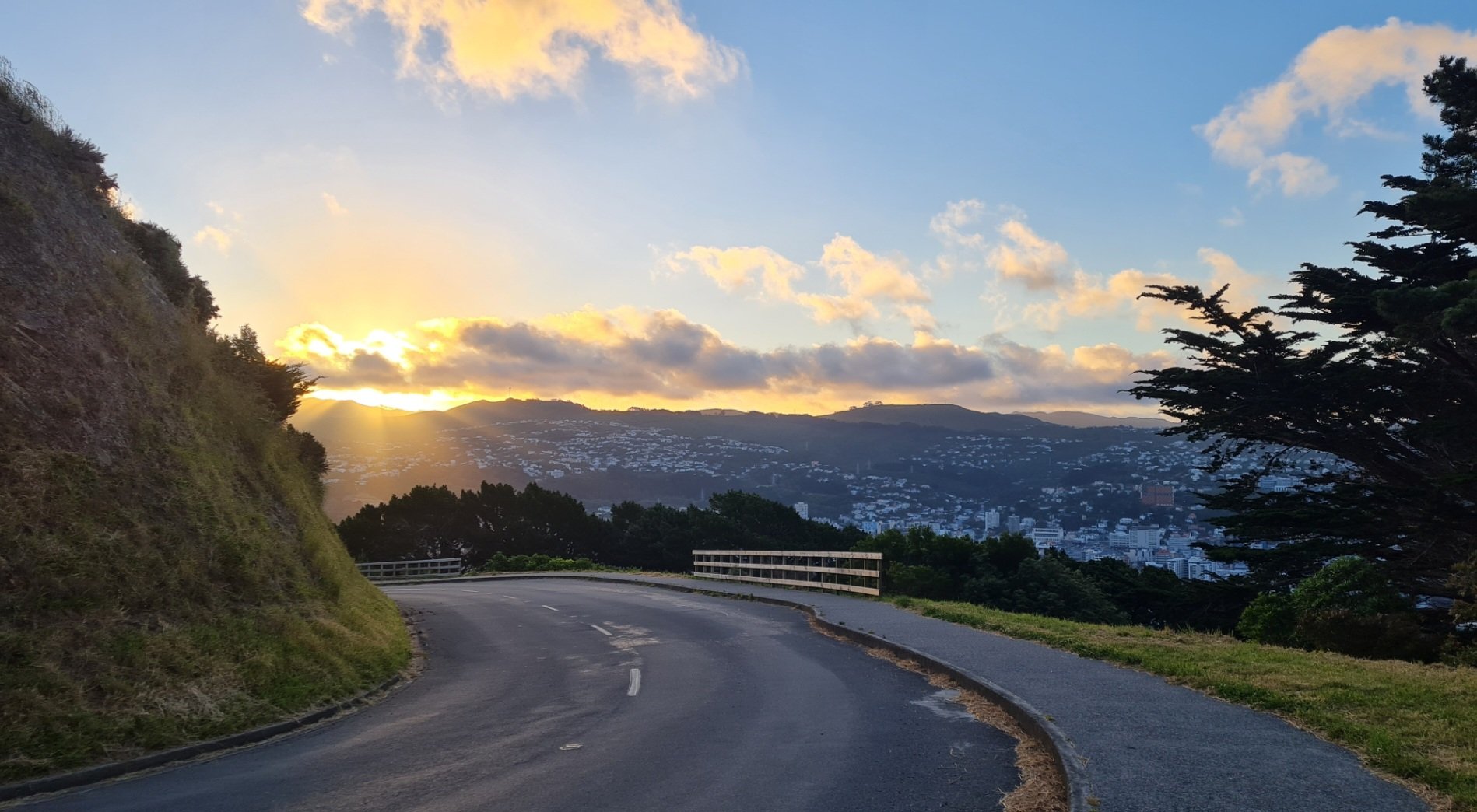 Wellington by the evening light