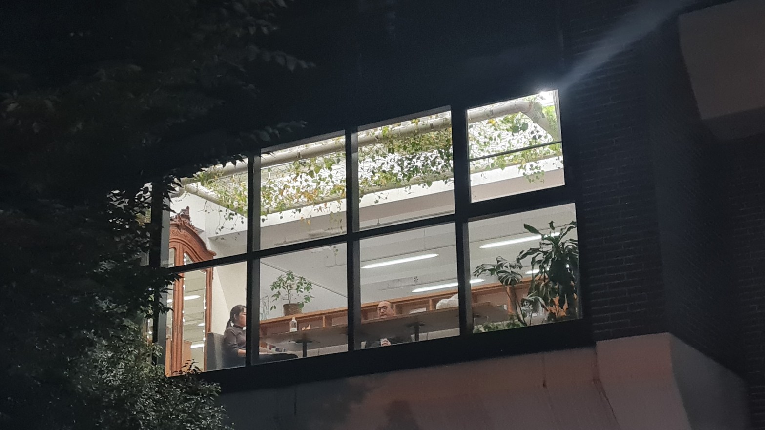 My life without a barrage of news