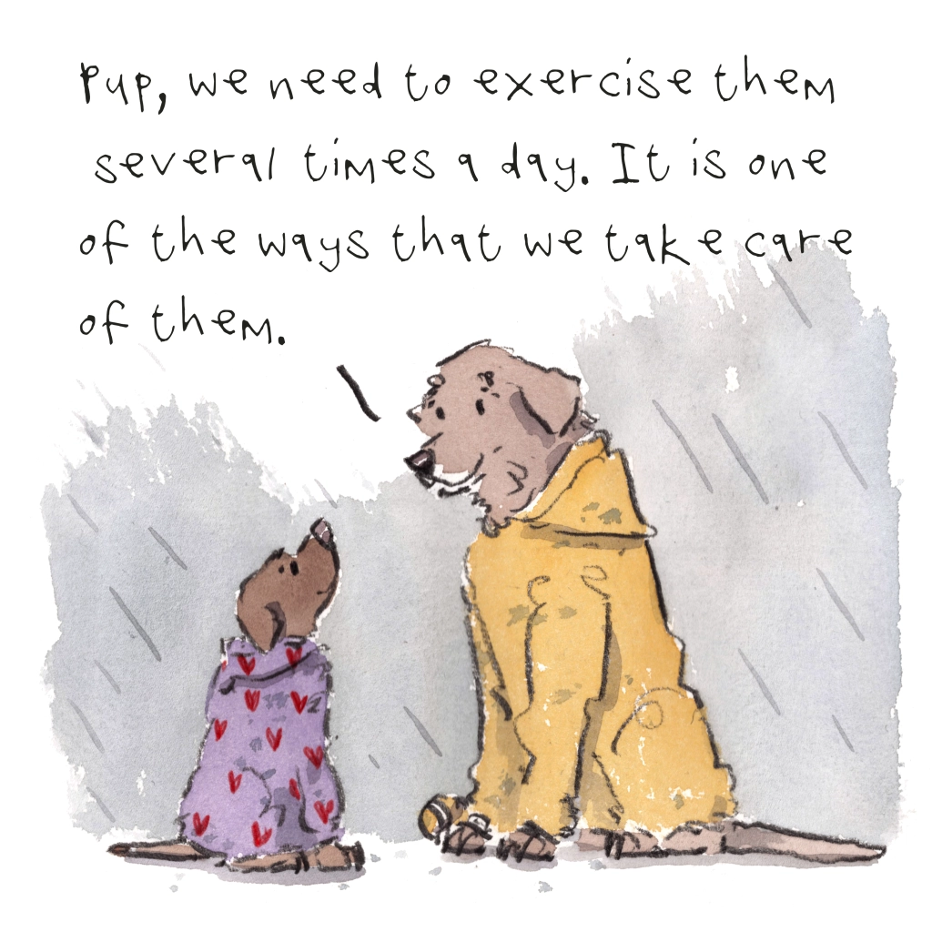 Iain Welch's sweet, whimsical and heartfelt reflections between dogs