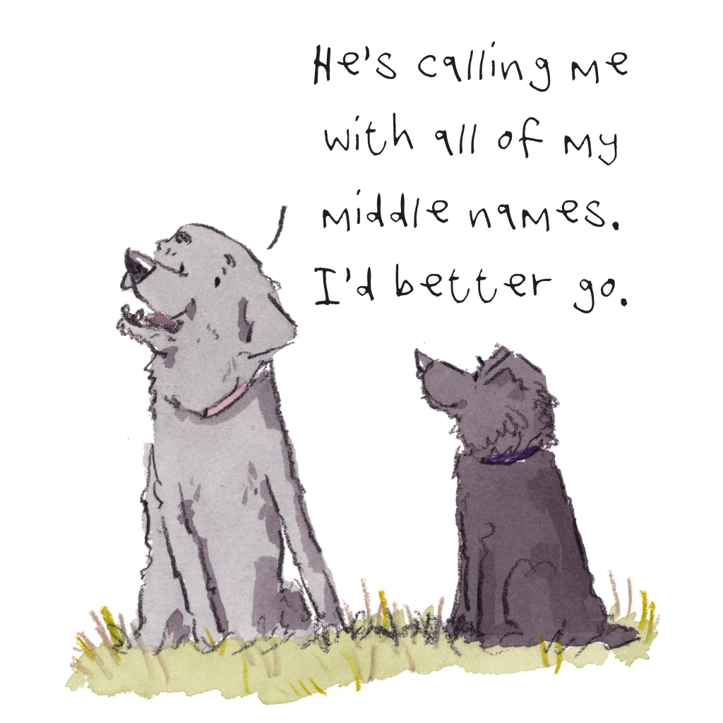 Iain Welch's sweet, whimsical and heartfelt reflections between dogs