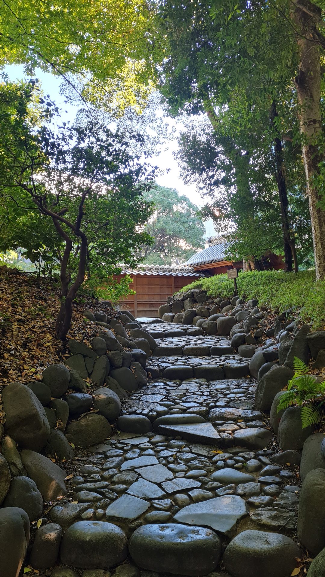 Travel: Koishikawa Korakuen Gardens