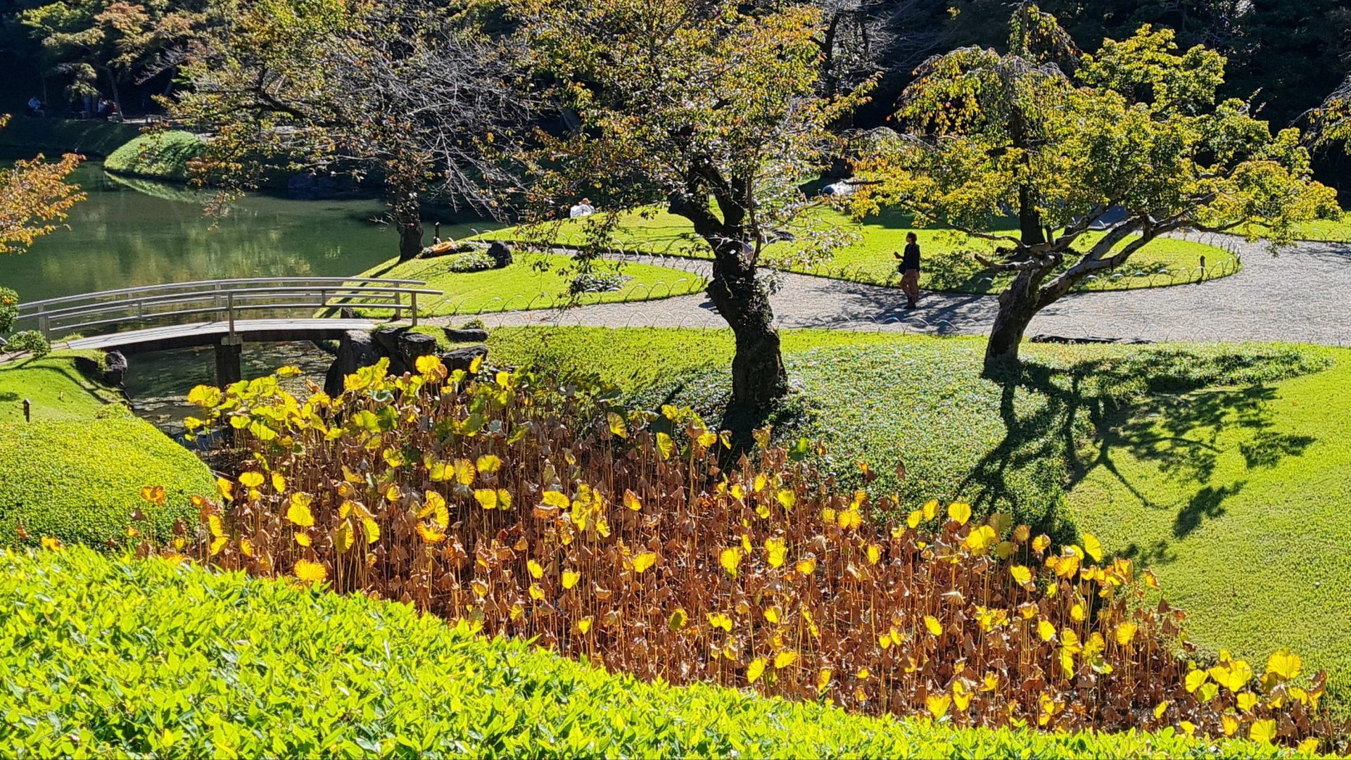Travel: Koishikawa Korakuen Gardens