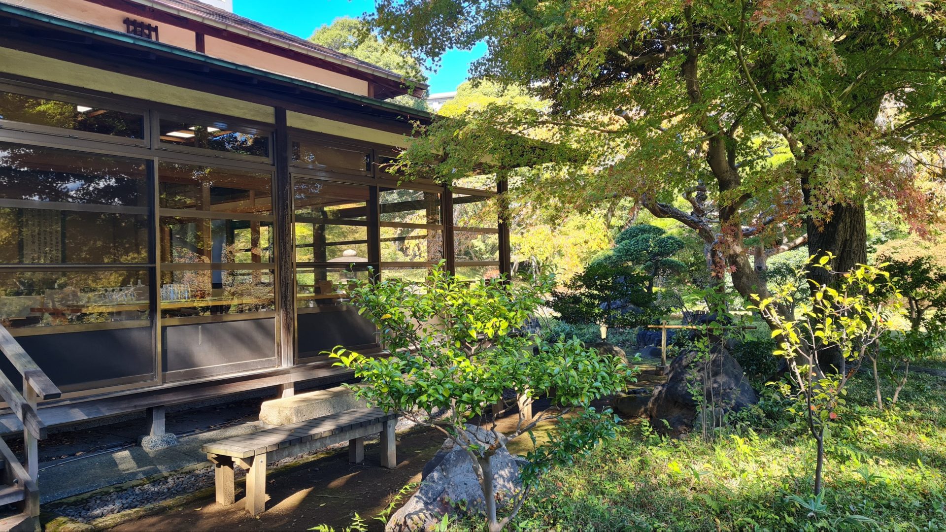 Travel: Koishikawa Korakuen Gardens