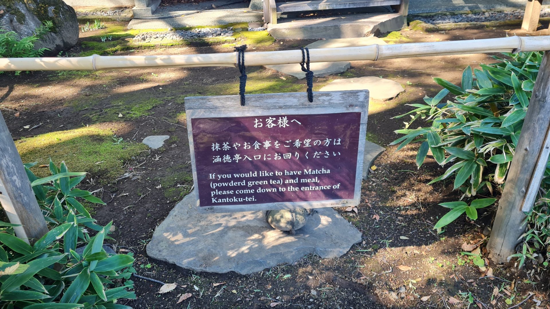 Travel: Koishikawa Korakuen Gardens