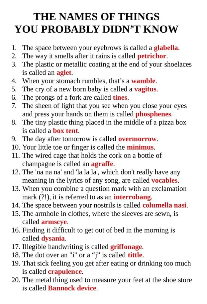 The names of things you probably didn't know