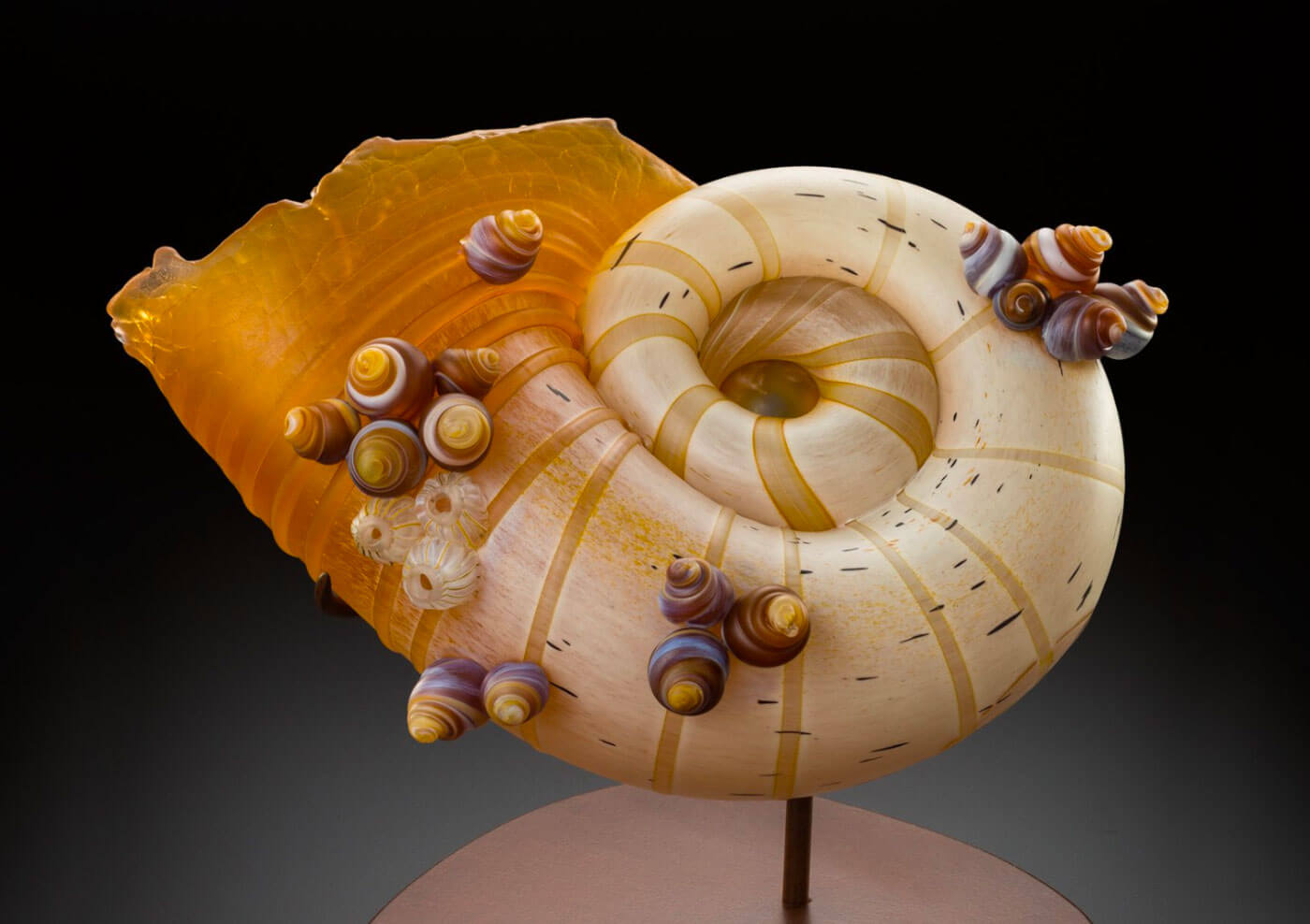 Kelly O'Dell's mesmerising and intricate glass shell sculptures