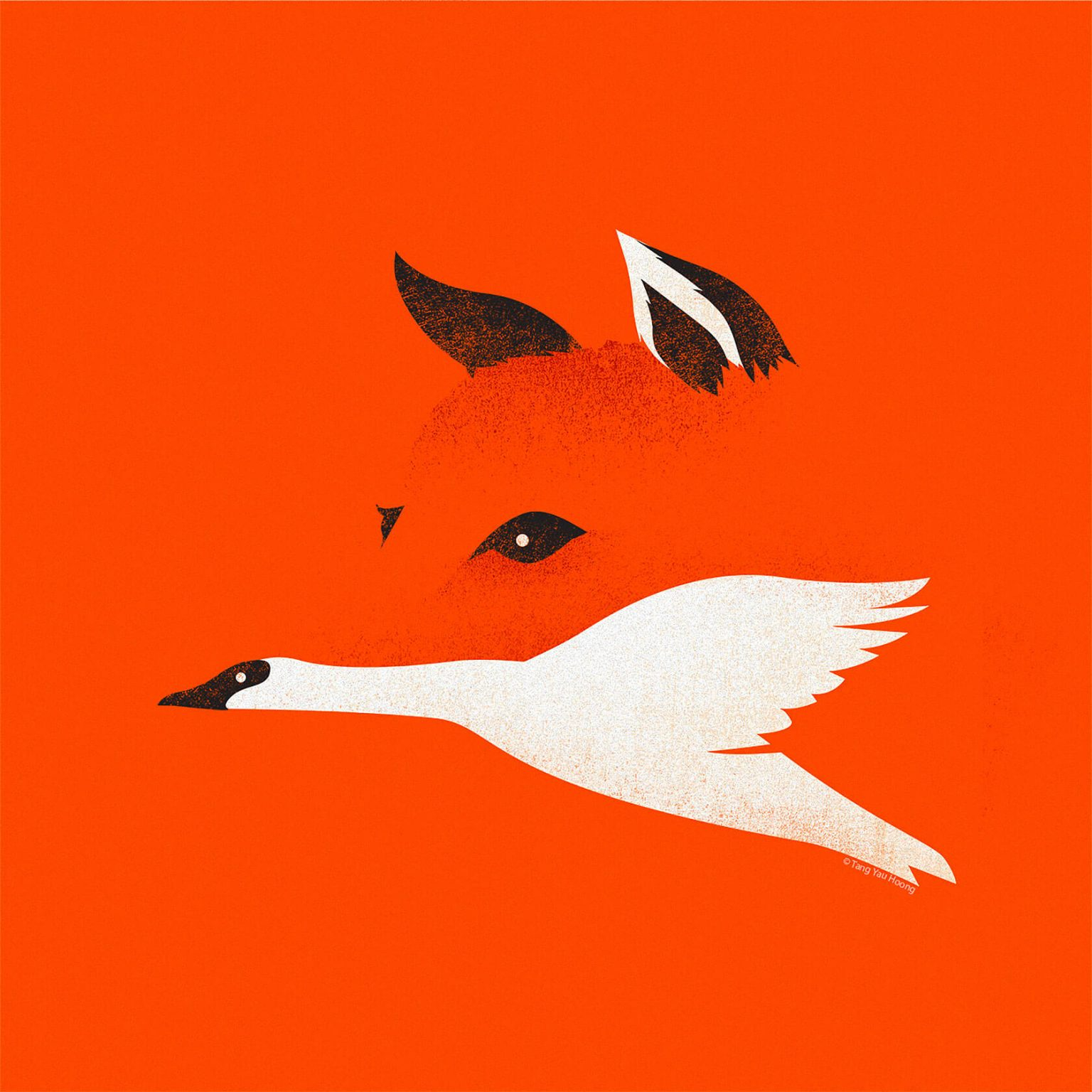 The alluring storytelling of negative space by Tang Yau Hoong