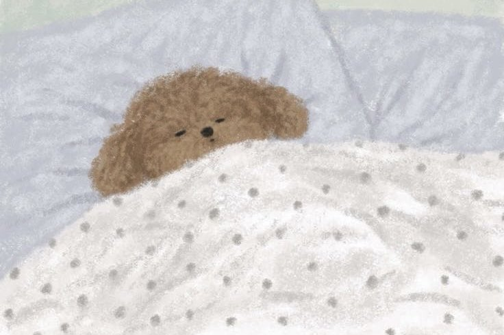 Cuddle-wranglers cosy up together for sweet dreams