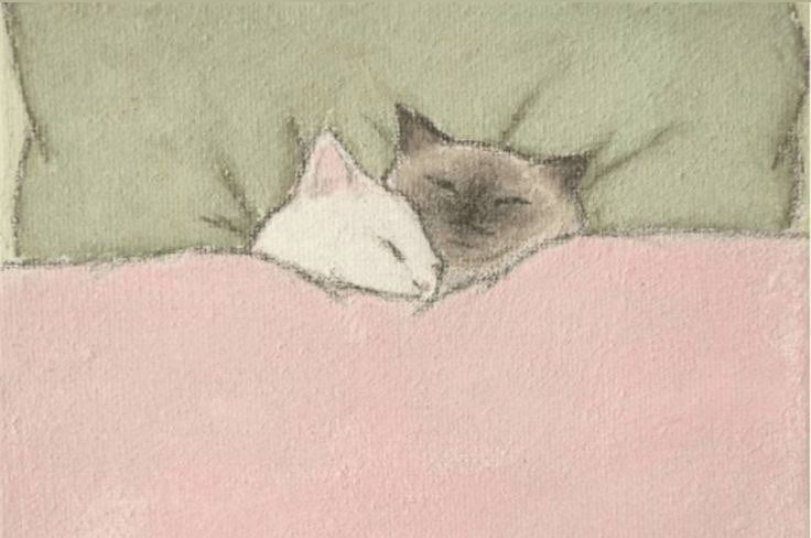 Cuddle-wranglers cosy up together for sweet dreams