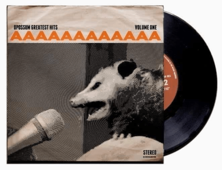 New EP by Opossum is out and it's a bit of a drone sound - music quirky animals