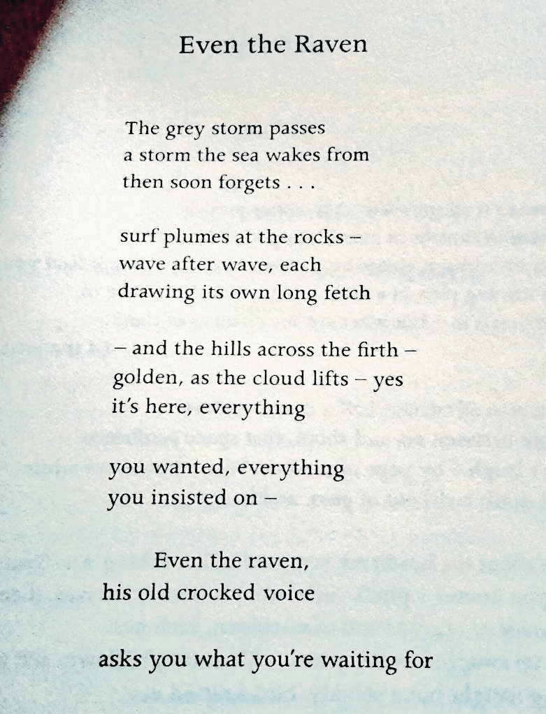 Even the Raven by Kathleen Jamie