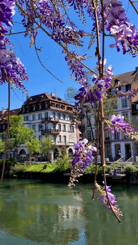 A view onto Strasbourg in springtime