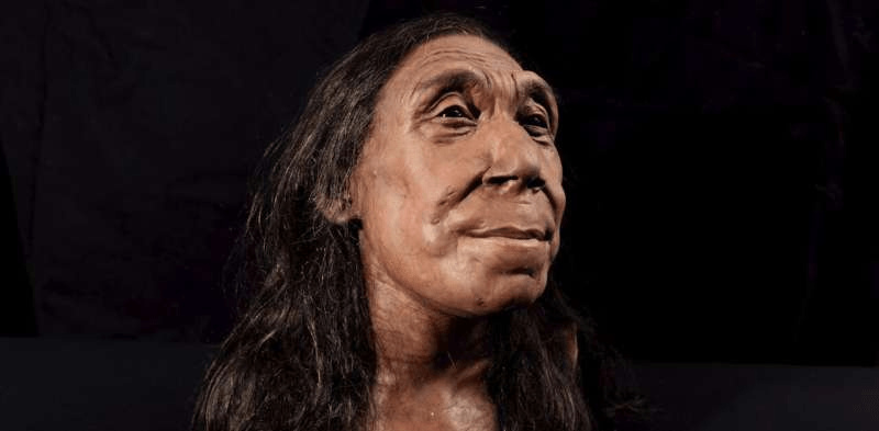 The neglected history of the human face