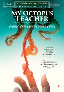 My Octopus Teacher film poster