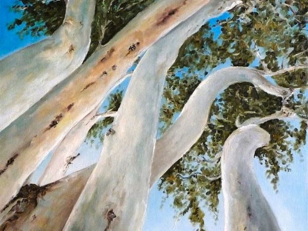 Ancient Word: Dadirri according to Aunty Miriam-Rose&nbsp;Ungunmerr