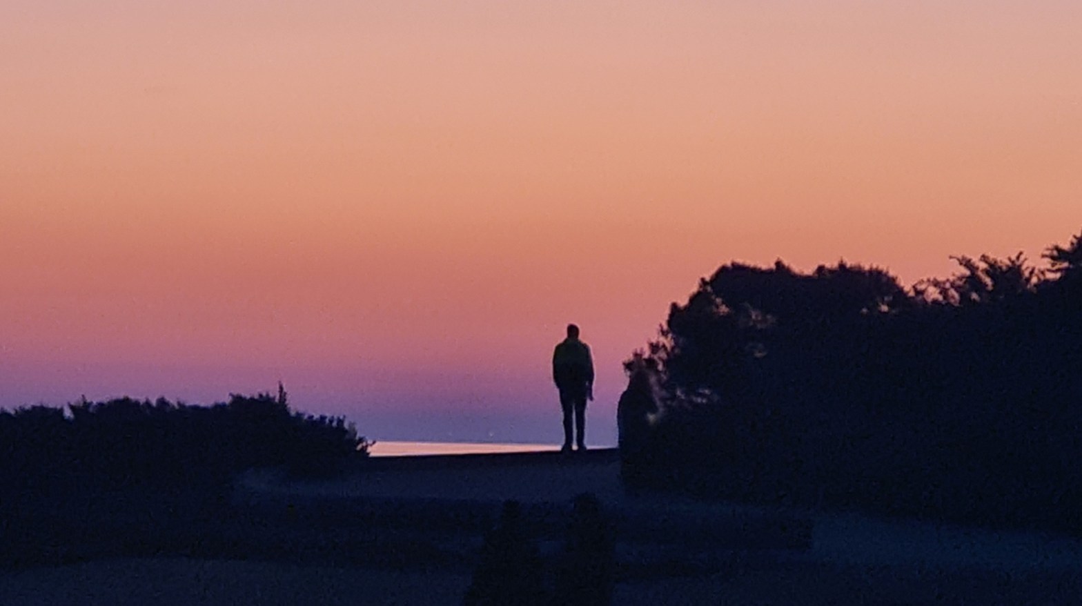 Sunset on the beach, vaporwave album cover vibes