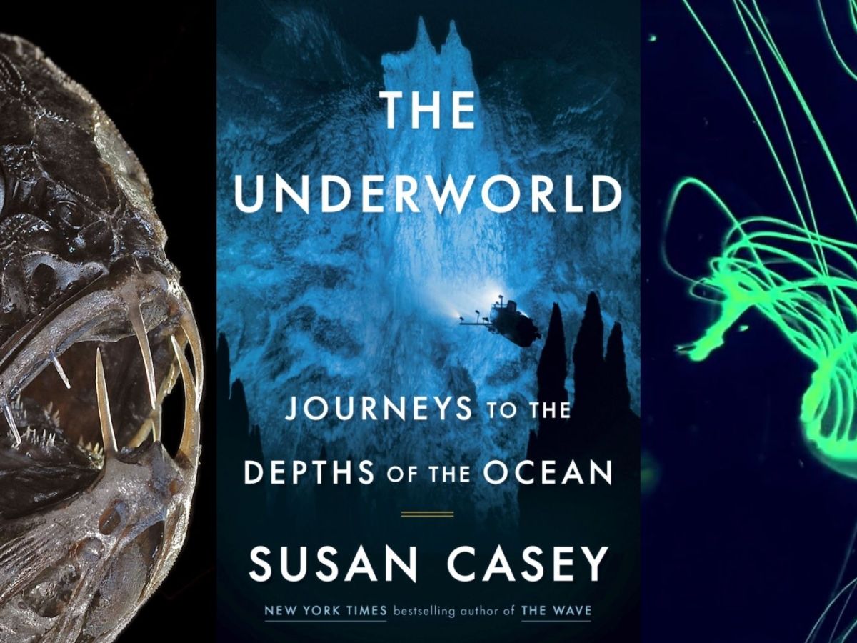 Book Review The Underworld: Journeys to the Depths of the Ocean by Susan&nbsp;Casey
