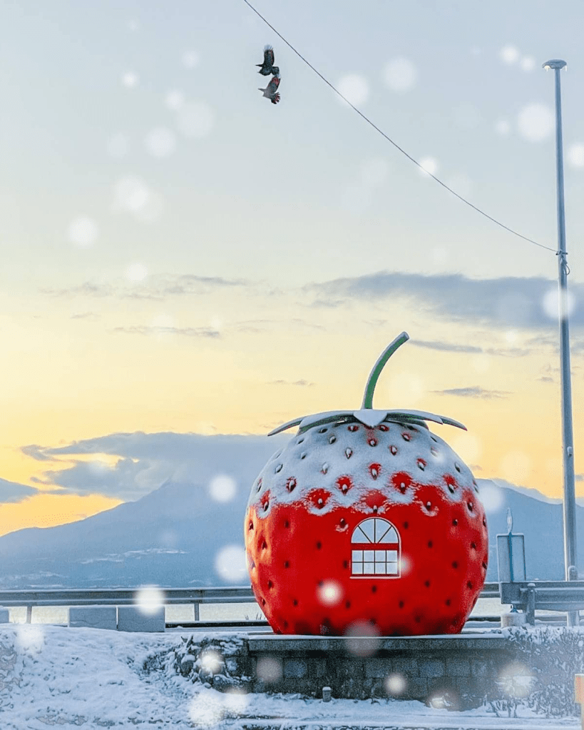 16 Whimsical and Kitsch Fruit Bus Stops in Nagasaki Japan 