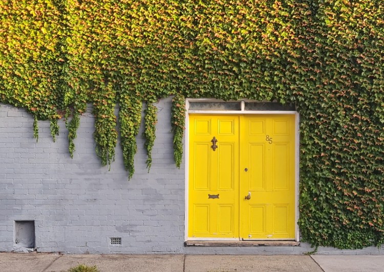 A yellow door at sunset