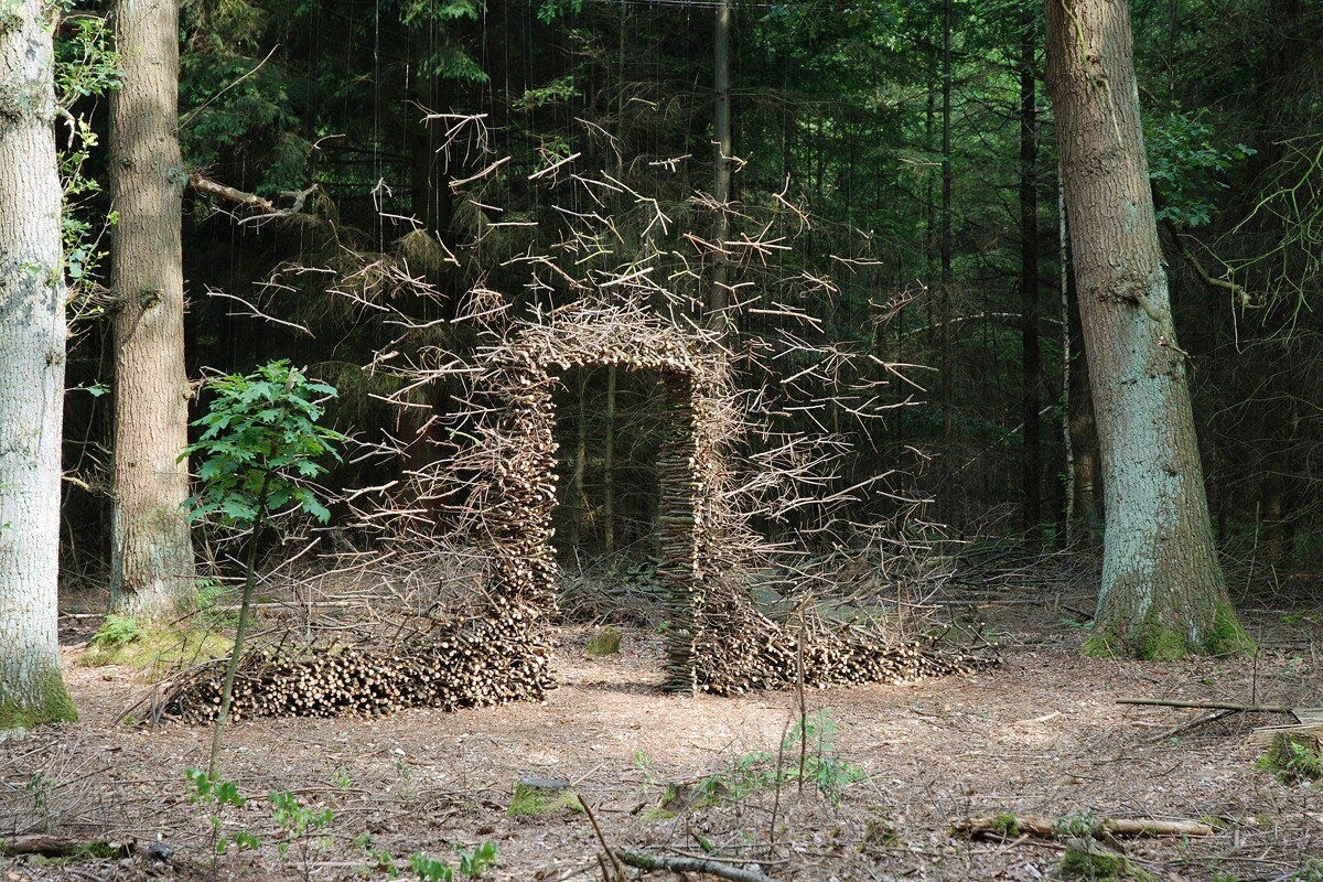 Mystical forest doorway - eerie strange portals 