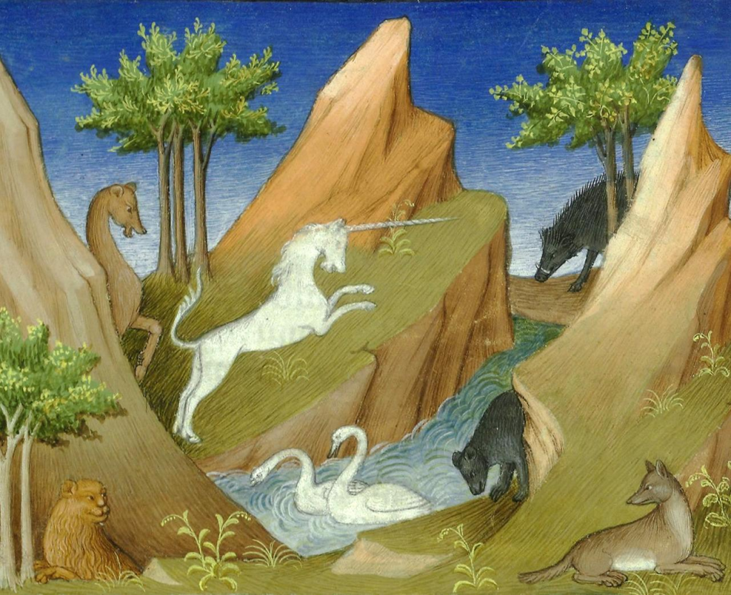 Wildlife of Malabar (1412) medieval manuscripts art