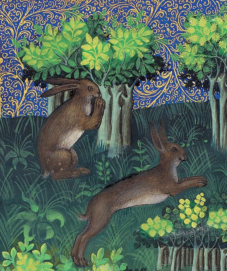 Hares by Gaston Phobeus (1407) medieval art