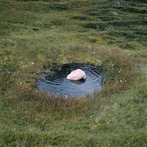 White rock in a pond - eerie strange portals 