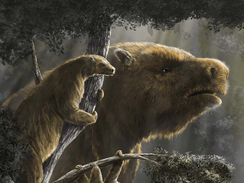 10 Interesting Things I Found on the Internet&nbsp;#155