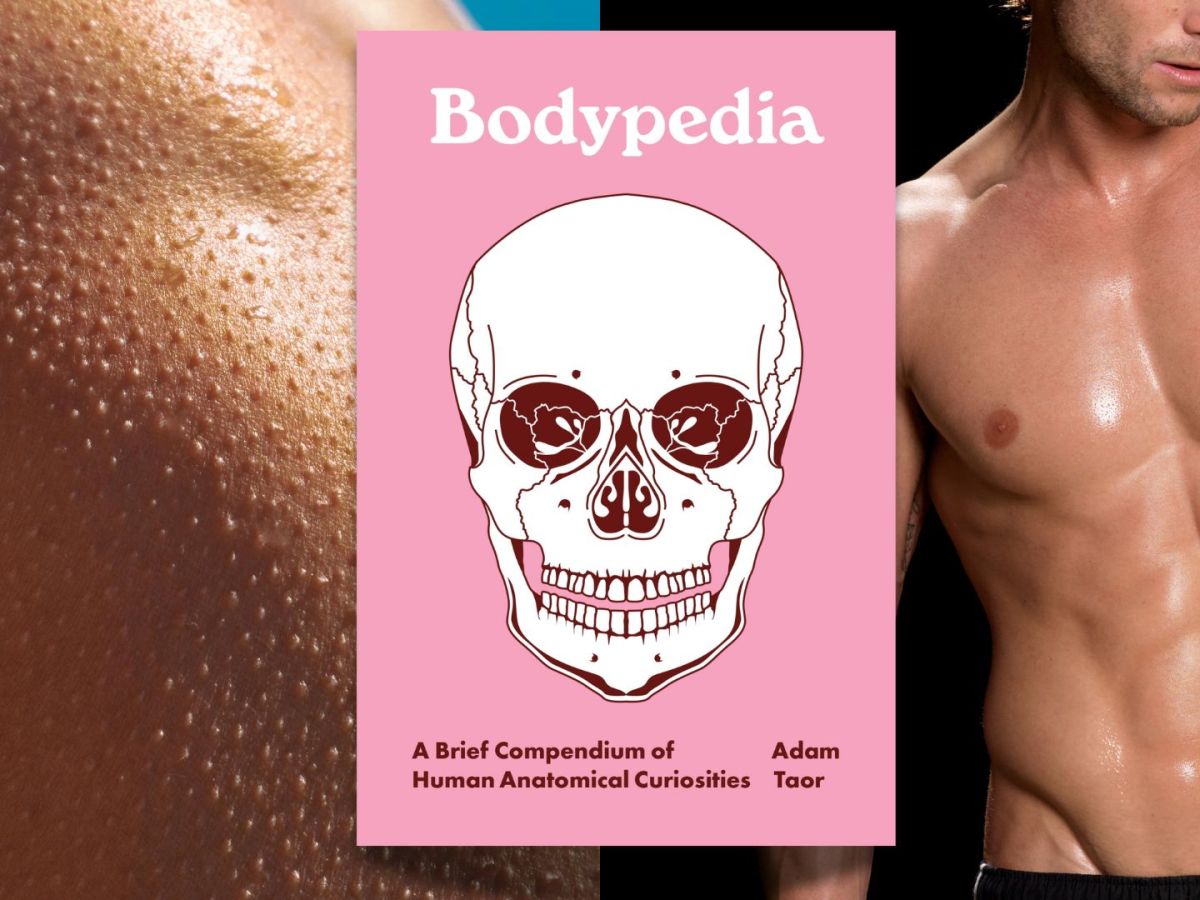 Book Review: Bodypedia by Adam&nbsp;Taor