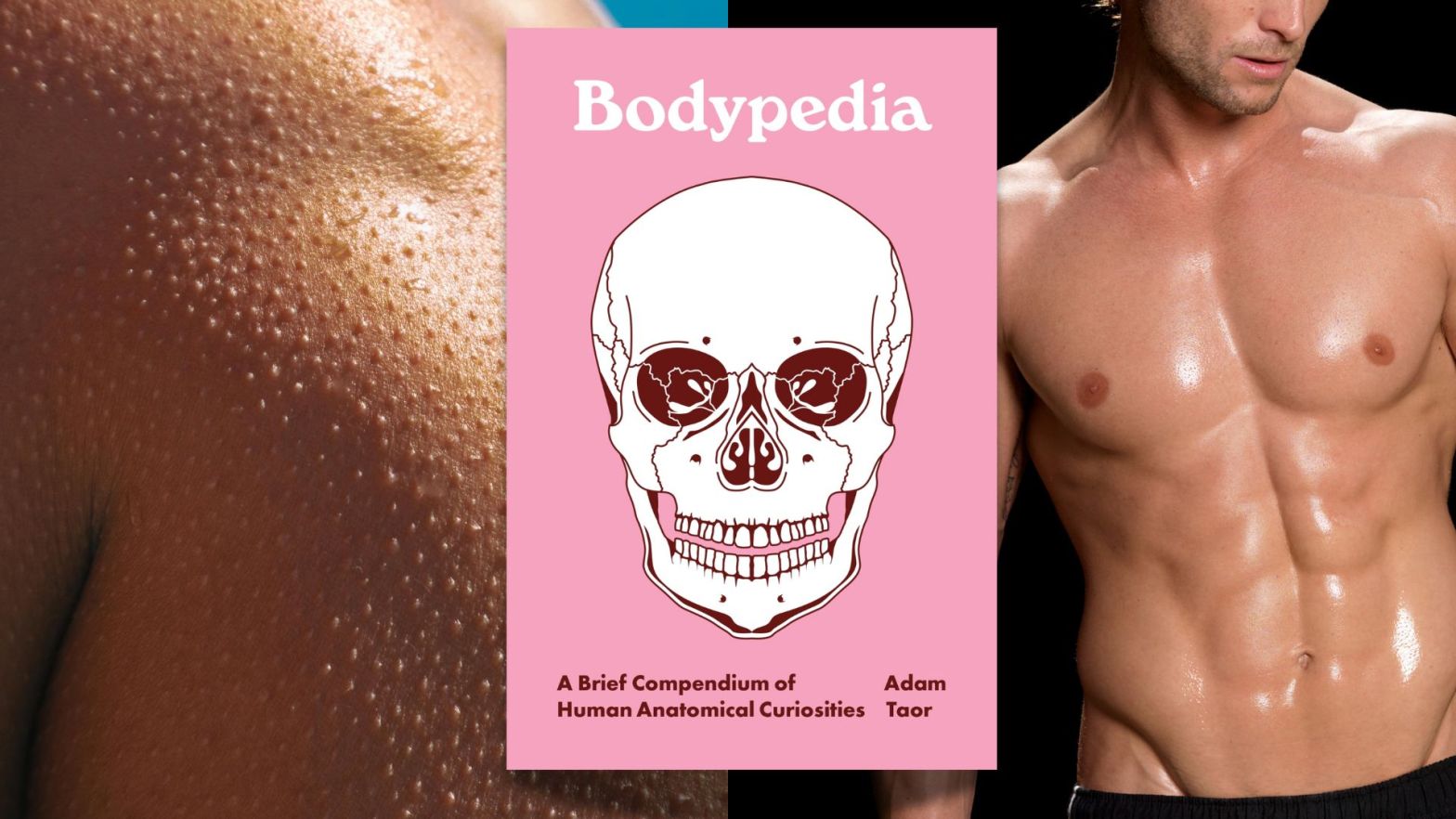 Book Review: Bodypedia by Adam Taor