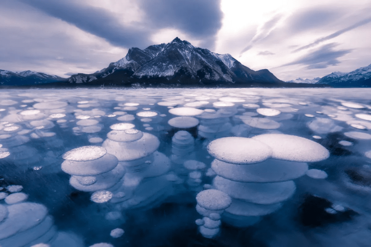 Frozen methane bubbles trapped beneath a lake's surface