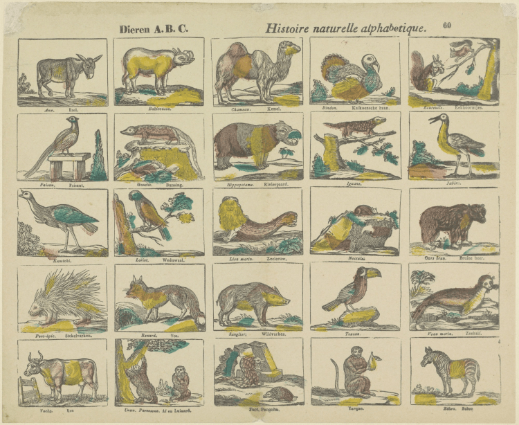 The Animal Alphabet