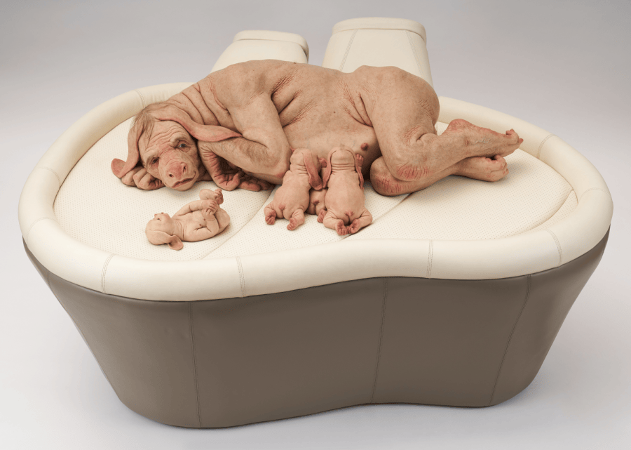 Patricia Piccinini, The Young Family, 2003, silicone, acrylic, human hair, leather, timber, 89 x 164 x 142 cm, Bendigo Art Gallery, Victoria,