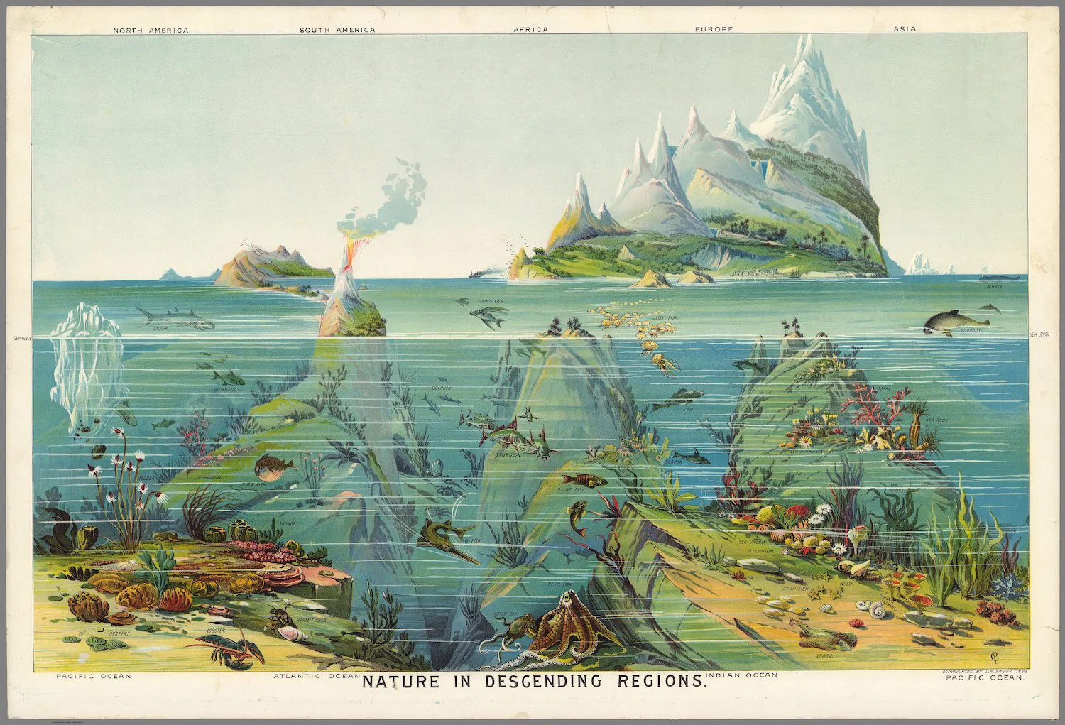 Nature in Descending Regions by Levi Walter Yaggy