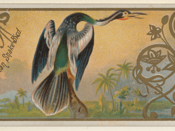 10 Interesting Things I Found on the Internet&nbsp;178