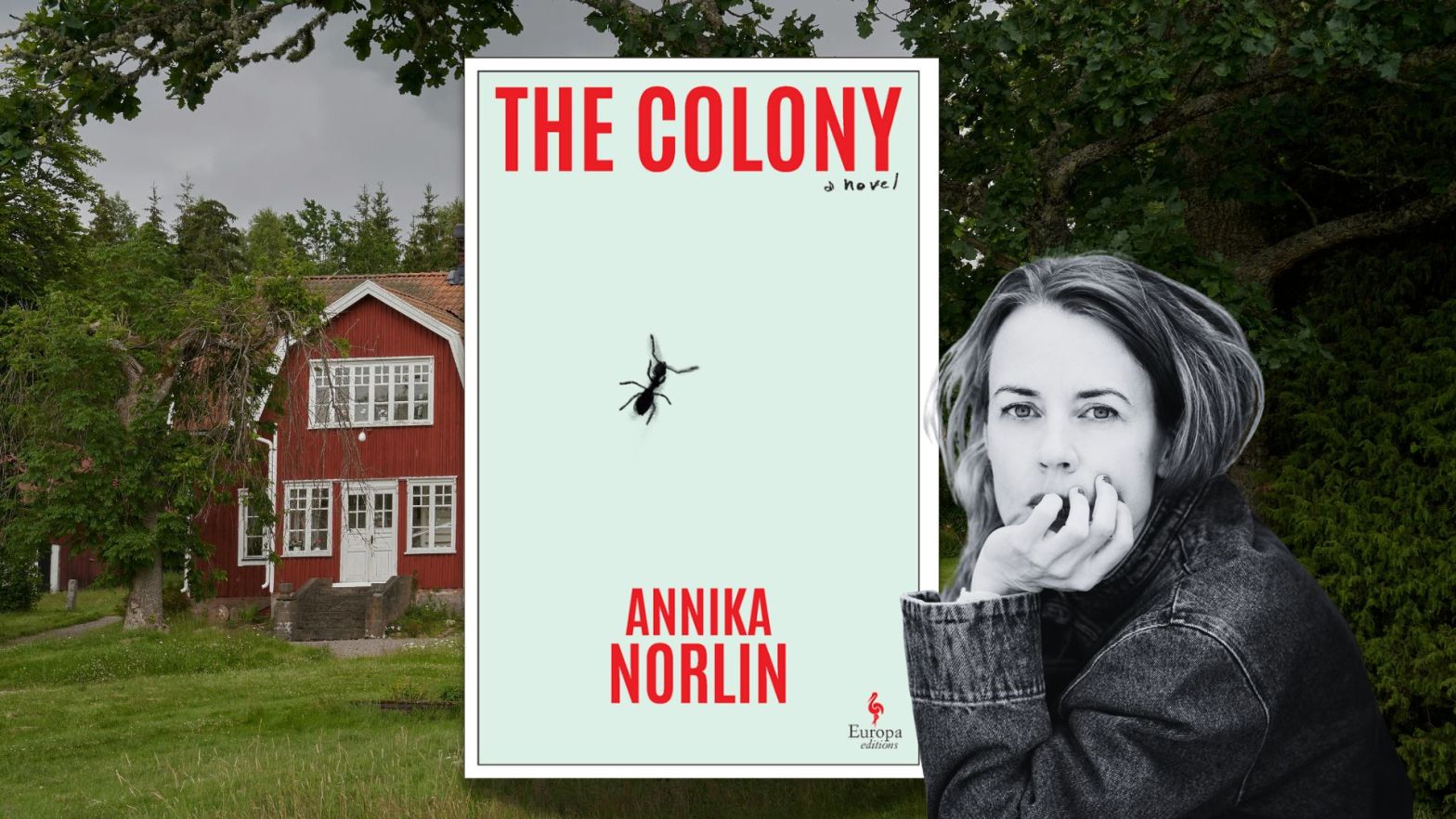 Book Review The Colony by Annika Norlin