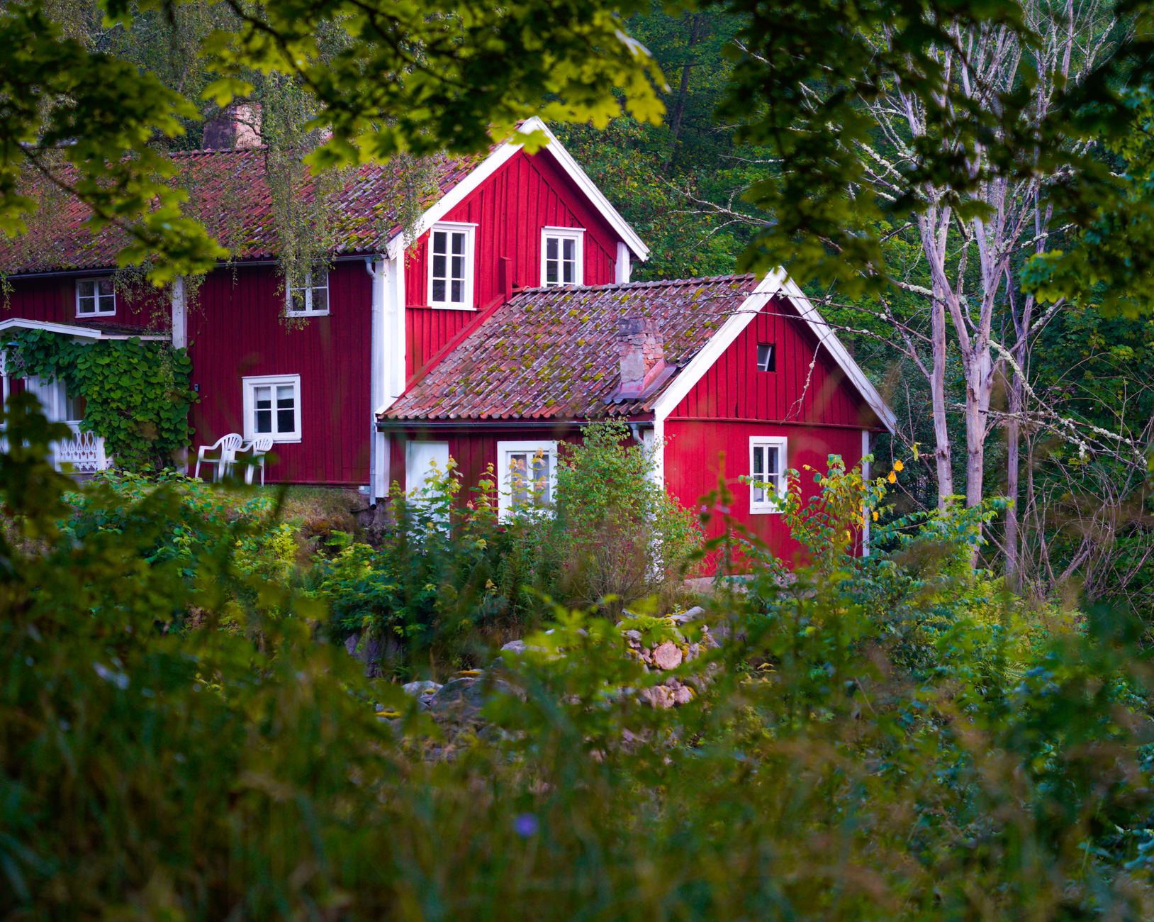 A Swedish farmhouse in a forest. Photo by Damir K . on Pexels.com