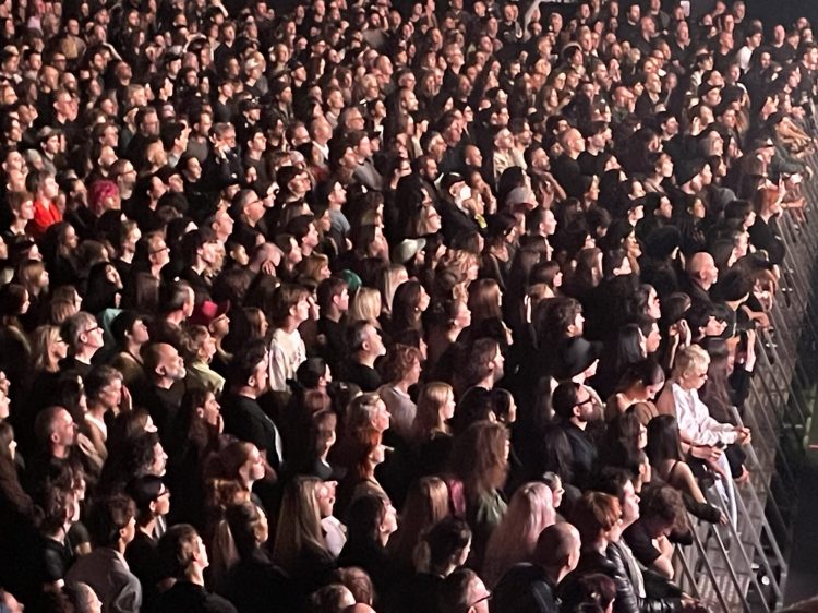 Massive attack gig - crowd